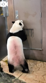 今日も今日とて