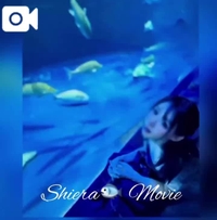 【シエラ🐟動画40】水族館で♡
