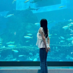 迷い中 …💭