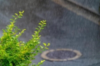 平日の朝の🏠のスタートは本当に最悪です😭