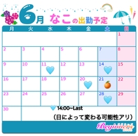 6月のスケジュール🗓