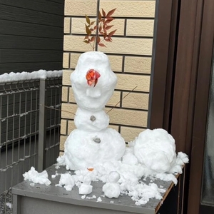 本日出勤してます🐇🎀