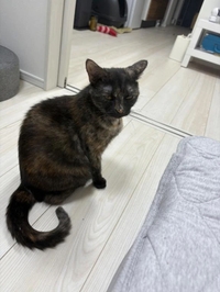 お願い🙇‍♂️