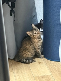 退勤