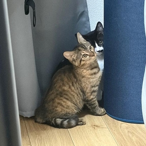 退勤