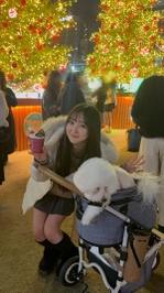 🌟クリスマスマーケット🌟