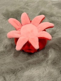 どないどないー⁉️😳🍆🦅🗻