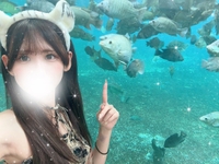 本日完売です🈵💕