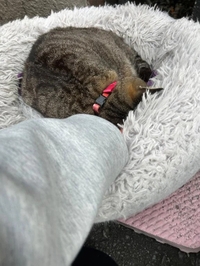 ねぇ？　飲みすぎないで？