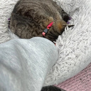 ねぇ？　飲みすぎないで？
