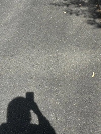 向かってます！