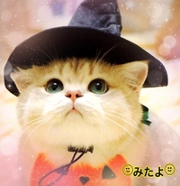 みたよ(*ˊ˘ˋ*)♡