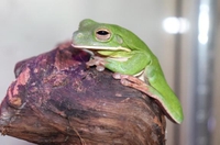 綺麗じゃね！？