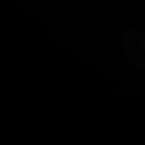 もう既に体験された方は良かったでしょう♡