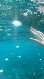 行ってきます✈️