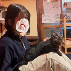 お・も・て・にゃ・し