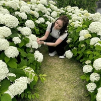 毎年気になるけど..近ずきて🫩行けないわたし。、