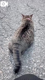 みたよ／シフト