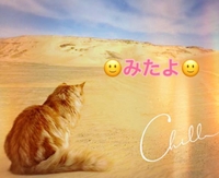 みたよ(*ˊ˘ˋ*)♡