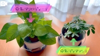 【9/5 療養中のお友だち】