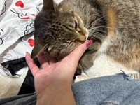 今日も幸せいっぱい🫶🏻💕︎︎