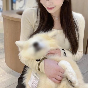 🈵完売御礼🈵