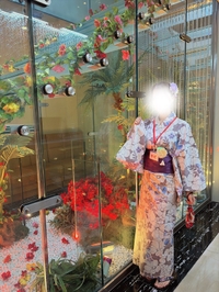 👘🎆