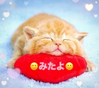 みたよ(*ˊ˘ˋ*)♡