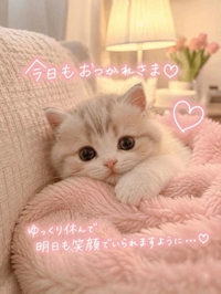【お礼写メ日記】嬉しくて何回も読んじゃった🥰