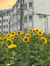 ヤバいヤバい🥺😭！