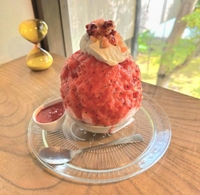 今週も2日間宜しくお願い致します??