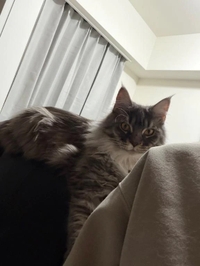 次の日記📖☡✍