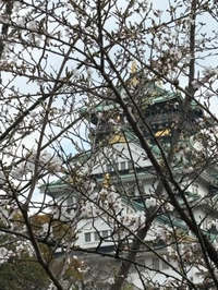 お兄さんの元へ♡