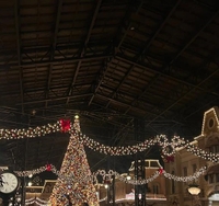 本日２０時に❣️