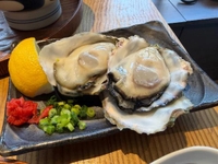 🦪あたりました🦪