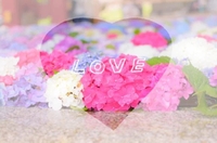🌸ご予約ありがとうございます🌸