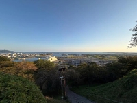おねがい🪄