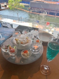 シキの大冒険Part11