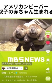 【ももち】今日もよろしくね〜