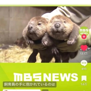 【ももち】今日もよろしくね〜