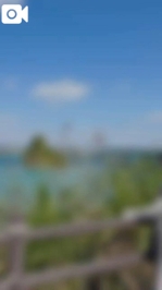 【🎥842】沖縄part3🌺🌴