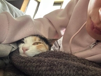 だらだらライフ🐱💕
