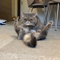 🛁新しくなりました✨