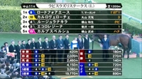 🐴 ラピスラズリステークス 🐴