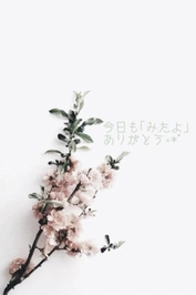 いつもありがとう 🤍