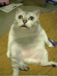 つらすぎ😭‼️‼️‼️