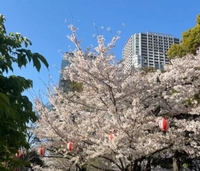 昨日は沢山ありがとう😻💖