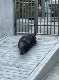 明日からまた頑張ろうね🎌