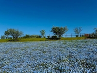 ゆうりのお休みの日