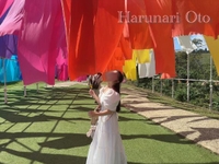 好きな家事は？🧺